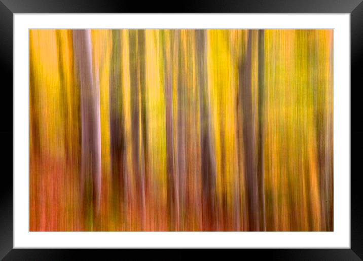 Autumn colours Framed Mounted Print by Nigel Atkinson