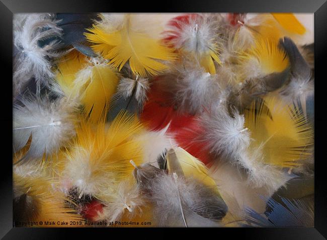 Soft feathers Framed Print by Mark Cake