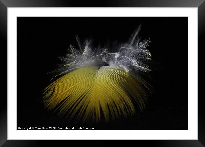 Feather texture Framed Mounted Print by Mark Cake