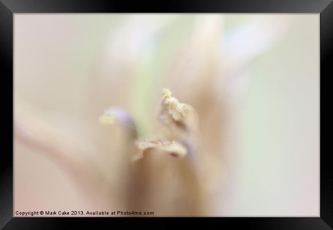 Blue bell Pastels Framed Print by Mark Cake