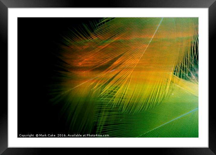 Sunset palms Framed Mounted Print by Mark Cake