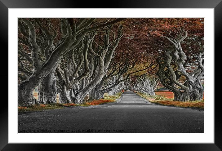 The Dark Hedges Framed Mounted Print by Michael Thompson