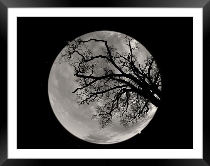 moon? Framed Mounted Print by Seth jones