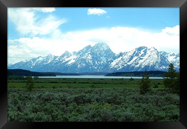 The Grand Tetons Framed Print by Shari DeOllos