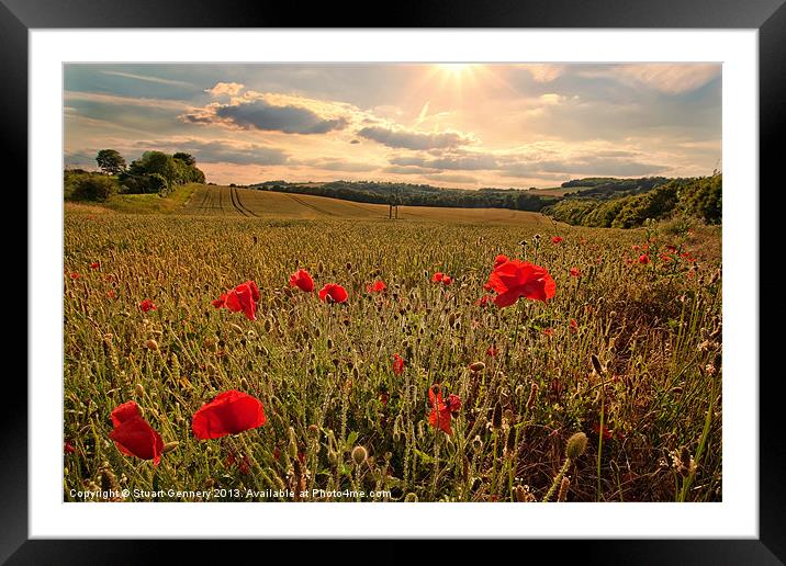 Poppies Framed Mounted Print by Stuart Gennery