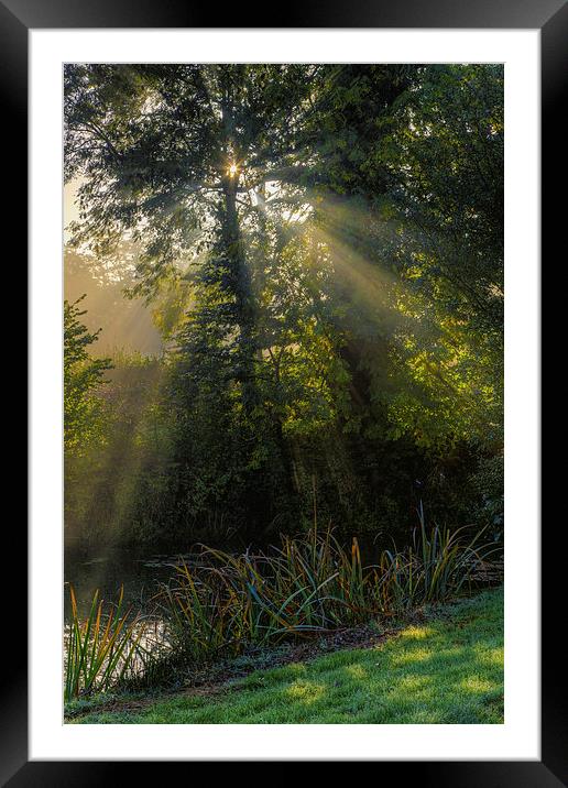 Early Morn Framed Mounted Print by Stuart Gennery