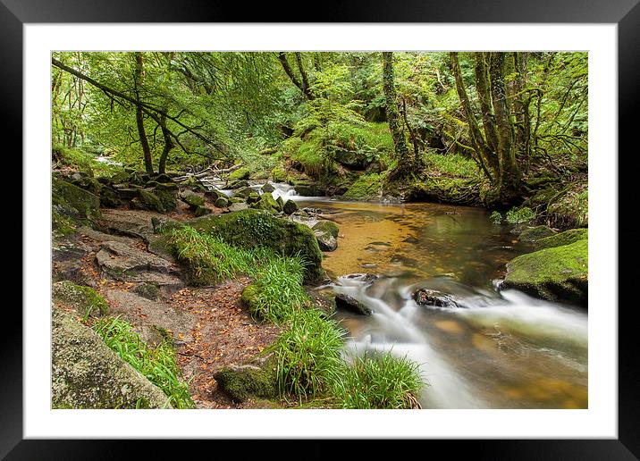 Peaceful Dell Framed Mounted Print by Stuart Gennery