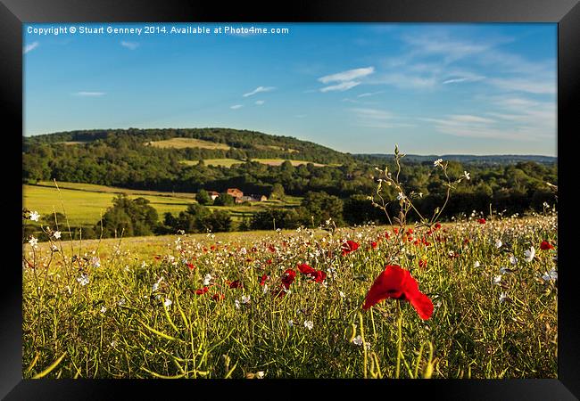 Poppies along the Darenth Valley Framed Print by Stuart Gennery