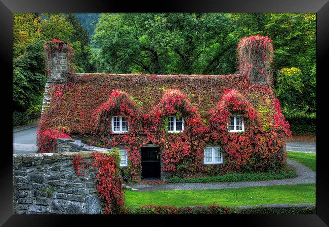 Autumn Cottage Framed Print by Ian Mitchell