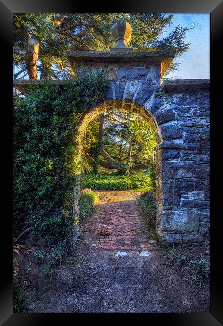 Sunny Garden Arch Framed Print by Ian Mitchell