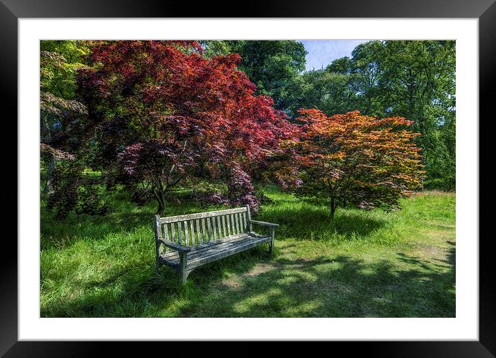 Late Summer Walks  Framed Mounted Print by Ian Mitchell