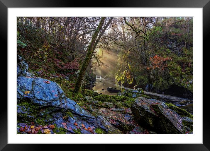  Magical Fairy Glen Framed Mounted Print by Ian Mitchell