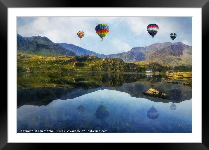 Morning Flight Framed Mounted Print by Ian Mitchell