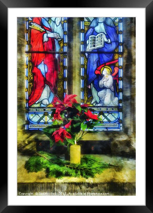  Christmas Poinsettia Framed Mounted Print by Ian Mitchell