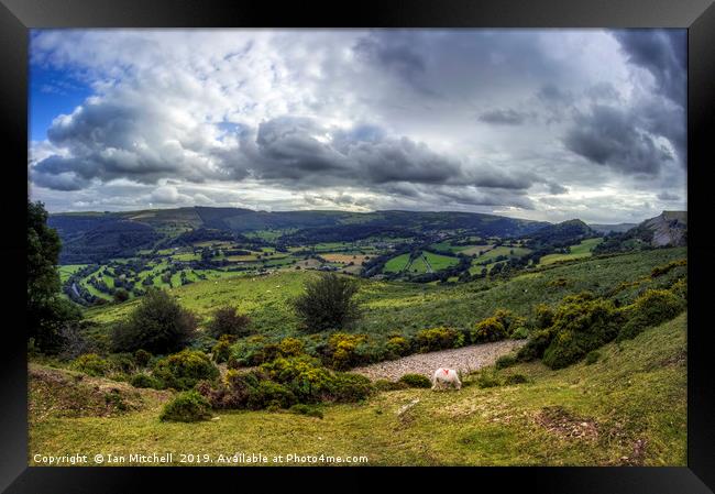 Vale Of Llangollen Framed Print by Ian Mitchell