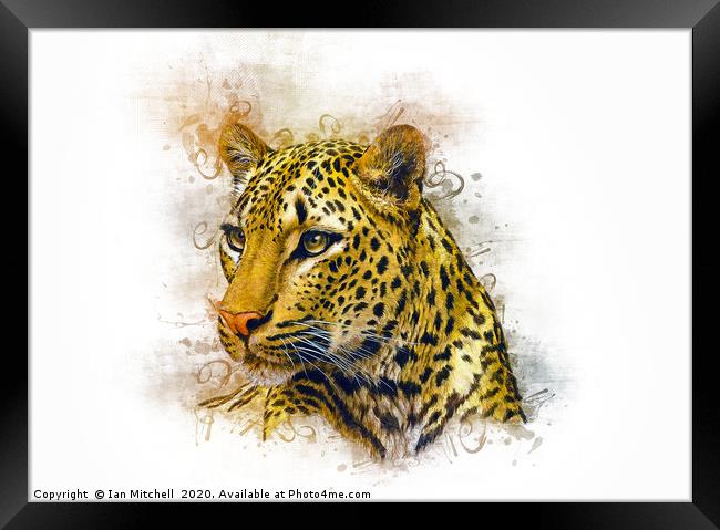 Leopard Art Framed Print by Ian Mitchell