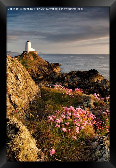 Wildflower Lighthouse II Framed Print by Matthew Train