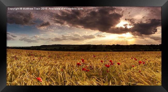  Poppy Field Sunset Framed Print by Matthew Train