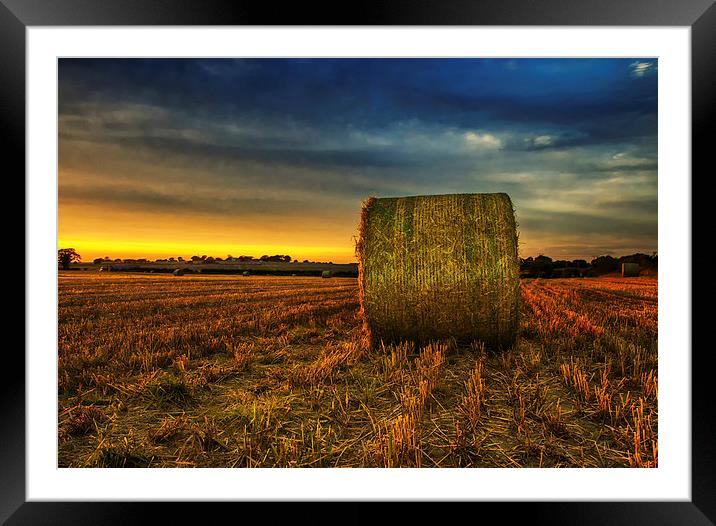 Playing in the Farmers Field Again Framed Mounted Print by Canvas Prints by Kathy Chadwick