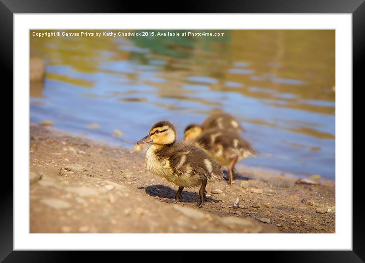  Cute Little Duckling Framed Mounted Print by Canvas Prints by Kathy Chadwick
