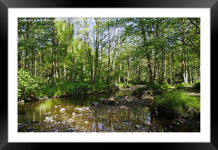 River scene Hamsterley Forest Framed Mounted Print by Rob Washington