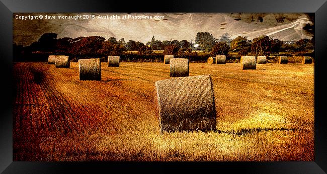  Glowing Hay Rolls Framed Print by dave mcnaught