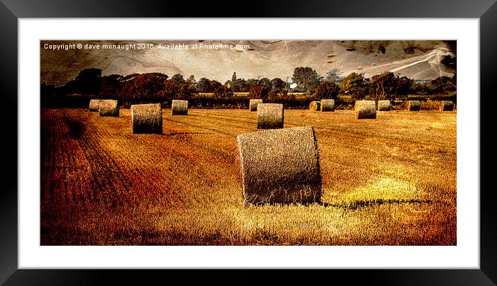  Glowing Hay Rolls Framed Mounted Print by dave mcnaught