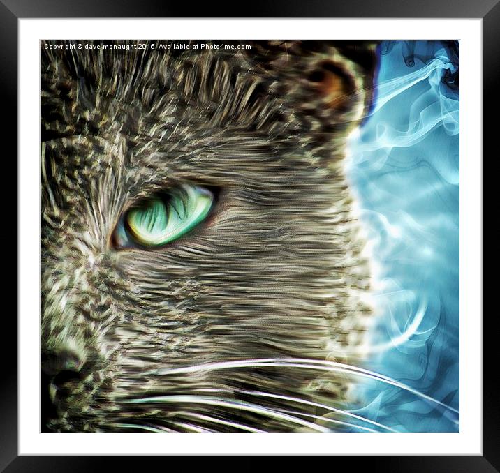  The Feline Framed Mounted Print by dave mcnaught