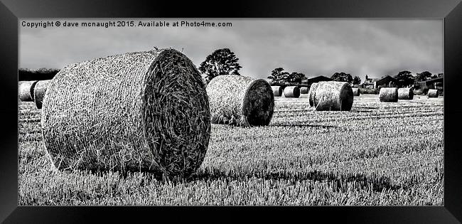  Black & White Hay Bales Framed Print by dave mcnaught
