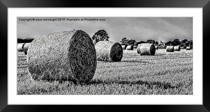  Black & White Hay Bales Framed Mounted Print by dave mcnaught
