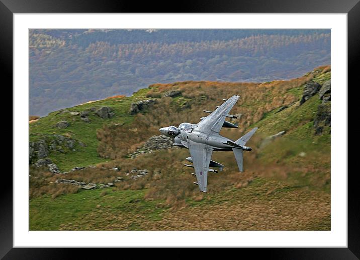Harrier low level Framed Mounted Print by Rachel & Martin Pics