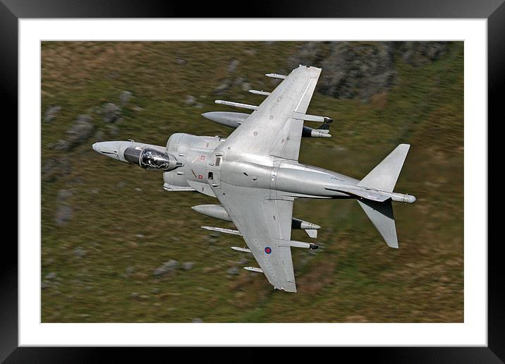 Harrier topside low level Framed Mounted Print by Rachel & Martin Pics