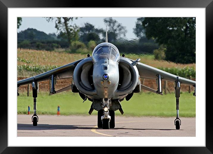 RAF Harrier head on Framed Mounted Print by Rachel & Martin Pics