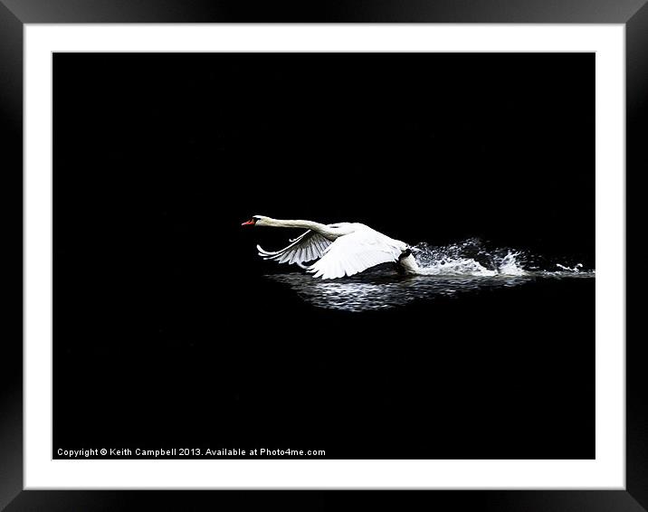 Transition to flight Framed Mounted Print by Keith Campbell