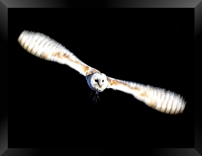 Out of the Shadows - colour version Framed Print by Keith Campbell