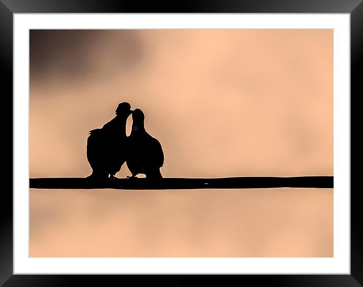 A Peck on the Cheek Framed Mounted Print by Keith Campbell