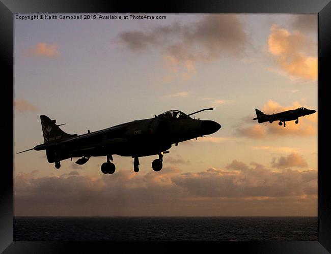 Sea Harriers Hovering  Framed Print by Keith Campbell