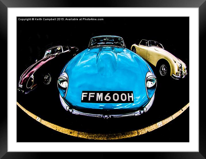  A Trio of Jaguars Framed Mounted Print by Keith Campbell