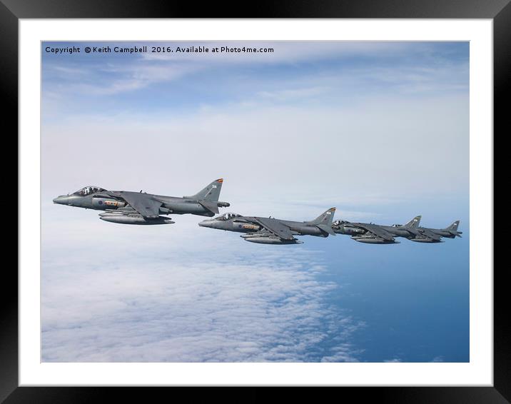 Harriers climbing skywards Framed Mounted Print by Keith Campbell