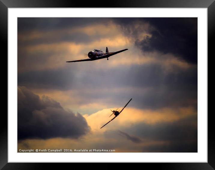 Harvard pair tailchase Framed Mounted Print by Keith Campbell