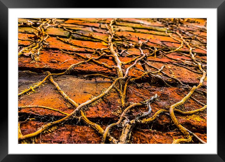 Destruction or Support? Framed Mounted Print by Keith Campbell
