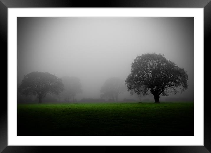 MISTY MEADOW Framed Mounted Print by simon keeping