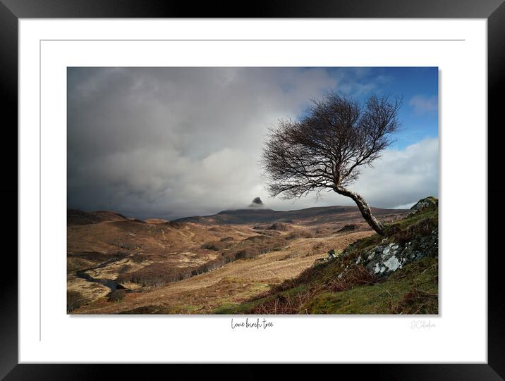 Lone birch tree Scottish Highlands Framed Mounted Print by JC studios LRPS ARPS