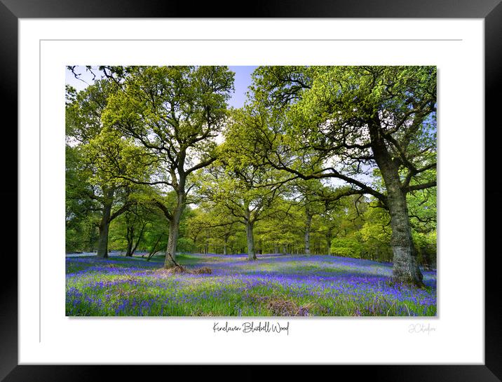 Enchanted Bluebell Woodland Framed Mounted Print by JC studios LRPS ARPS