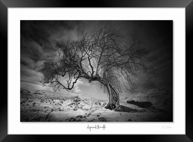 Against the odds Framed Print by JC studios LRPS ARPS