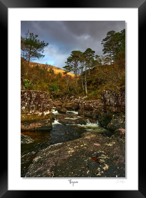 The pines Framed Print by JC studios LRPS ARPS