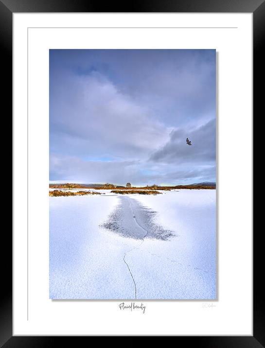 Flawed beauty Framed Mounted Print by JC studios LRPS ARPS