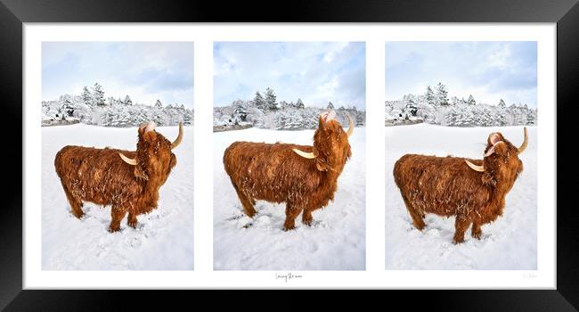 Loving the snow, A photographic triptych Framed Print by JC studios LRPS ARPS
