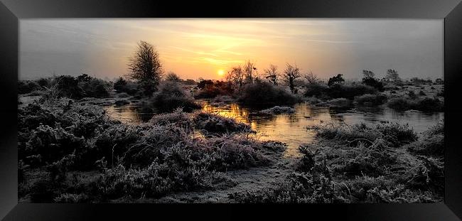  A crisp fresh New Forest in January. Image by JCs Framed Print by JC studios LRPS ARPS