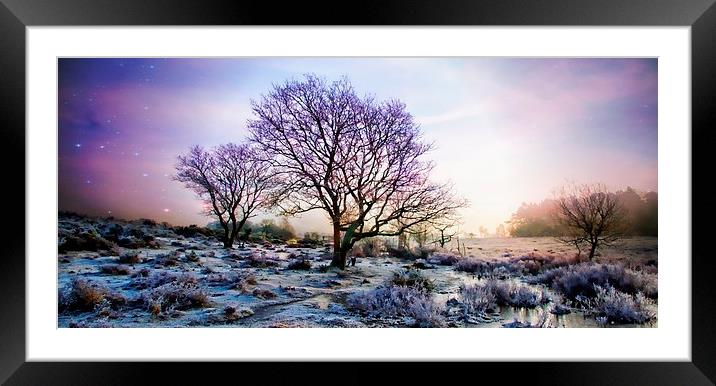  Crockford in the New Forest Framed Mounted Print by JC studios LRPS ARPS